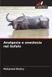 Analgesia e anestesia nel bufalo - Bild 1