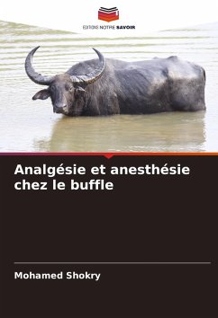 Analgésie et anesthésie chez le buffle - Shokry, Mohamed