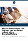 Herausforderungen und Stärken der aktuellen industriellen Energieeffizienz