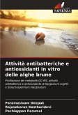 Attività antibatteriche e antiossidanti in vitro delle alghe brune