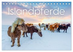 Islandpferde - Die süßen Pferde im Norden. (Tischkalender 2025 DIN A5 quer), CALVENDO Monatskalender