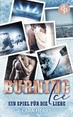 Burning Ice (eBook, ePUB)