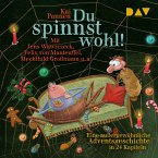 Du spinnst wohl! Eine außergewöhnliche Adventsgeschichte in 24 Kapiteln (MP3-Download)