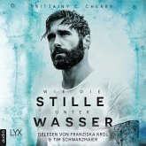 Wie die Stille unter Wasser (MP3-Download)