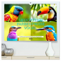 Leuchtend farbenfrohe Vögel (hochwertiger Premium Wandkalender 2025 DIN A2 quer), Kunstdruck in Hochglanz