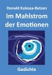 Im Mahlstrom der Emotionen - Bild 1
