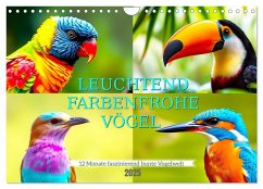 Leuchtend farbenfrohe Vögel (Wandkalender 2025 DIN A4 quer), CALVENDO Monatskalender