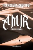 Amir (eBook, ePUB)
