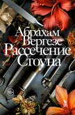 Рассечение Стоуна (eBook, ePUB)