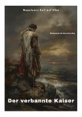 Der verbannte Kaiser (eBook, ePUB)