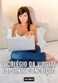 O colégio da Virgem de Santa Conceição (eBook, ePUB)