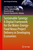 Sustainable Synergy: A Digital Framework for the Water-Energy-Food Nexus Project Delivery in Developing Economies Sustainable Synergy: A Digital Framework for the Water-Energy-Food Nexus Project Delivery in Developing Economies