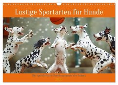 Lustige Sportarten für Hunde (Wandkalender 2025 DIN A3 quer), CALVENDO Monatskalender