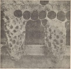 Cover Apicultura práctica y sencilla (eBook, ePUB)