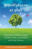 Mindfulness at Play (eBook, ePUB)