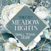 Meadow Hights: Small Town Desire (MP3-Download)