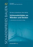 Schimmelschäden an Wänden und Decken