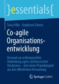 Co-agile Organisationsentwicklung