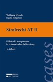 Strafrecht AT II