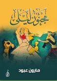 مجنون ليلى (eBook, ePUB)