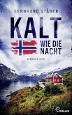 Kalt wie die Nacht (eBook, ePUB)