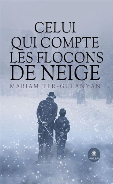 Celui qui compte les flocons de neige (eBook, ePUB)
