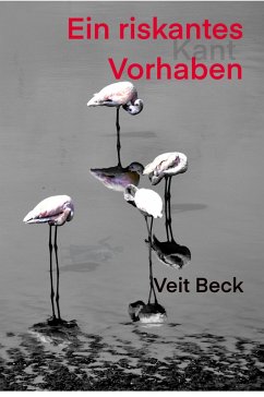 Cover Ein riskantes Vorhaben (eBook, ePUB)