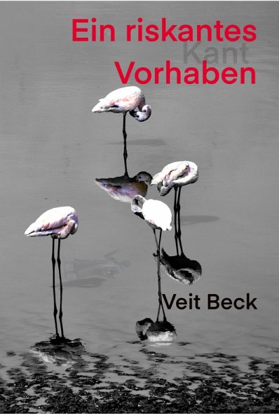 Ein riskantes Vorhaben (eBook, ePUB)