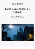 Dans les méandres de l'interdit (eBook, ePUB)