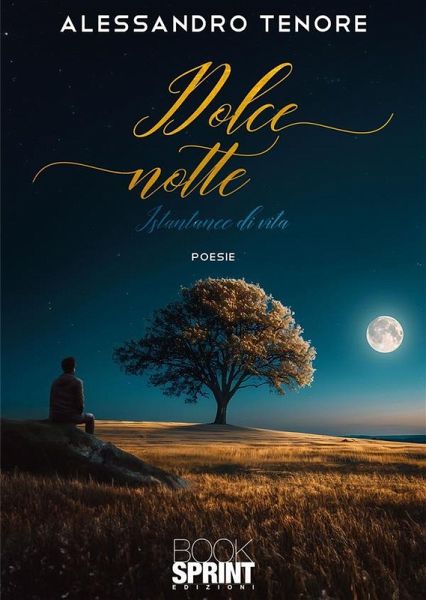 Dolce notte - Istantanee di vita (eBook, ePUB)