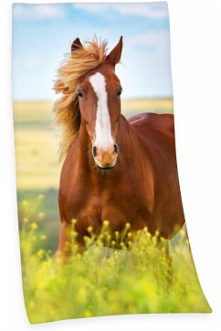 Cover Young Collection 6124206516 - Pferd Velourstuch, 75x150 cm, 100% Baumwolle