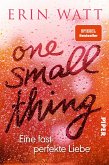 One Small Thing - Eine fast perfekte Liebe  (Mängelexemplar)