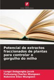 Potencial de extractos fraccionados de plantas para controlar o gorgulho do milho