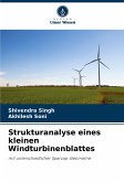 Strukturanalyse eines kleinen Windturbinenblattes