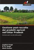 Gestione post-raccolta dei prodotti agricoli nell'Uttar Pradesh