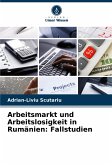 Arbeitsmarkt und Arbeitslosigkeit in Rumänien: Fallstudien