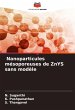 Nanoparticules mésoporeuses de ZnYS... - Bild 1