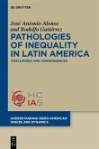 Pathologies of inequality in Latin America