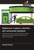 Migliorare il potere calorifico del carburante biodiesel