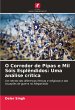 O Corredor de Pipas e Mil Sóis... - Bild 1