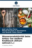 Wasserproduktivität beim Anbau von weißem Knoblauch (Allium sativum L.)