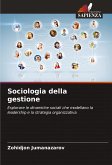 Sociologia della gestione