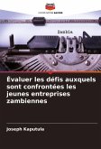 Évaluer les défis auxquels sont confrontées les jeunes entreprises zambiennes