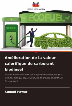 Amélioration de la valeur calorifique du carburant biodiesel - Pawar, Sumod