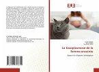 La toxoplasmose de la femme enceinte