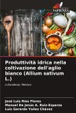 Produttività idrica nella coltivazione dell'aglio bianco (Allium sativum L.)