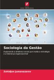 Sociologia da Gestão