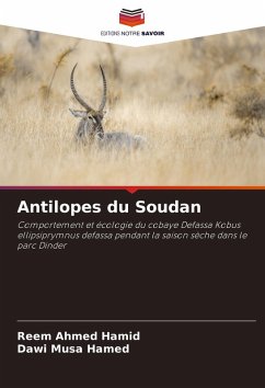 Cover Antilopes du Soudan
