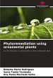 Phytoremediation using ornamental plants - Bild 1