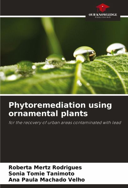 Phytoremediation using ornamental plants